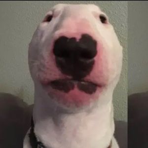 Meet your Posher, Kaleb